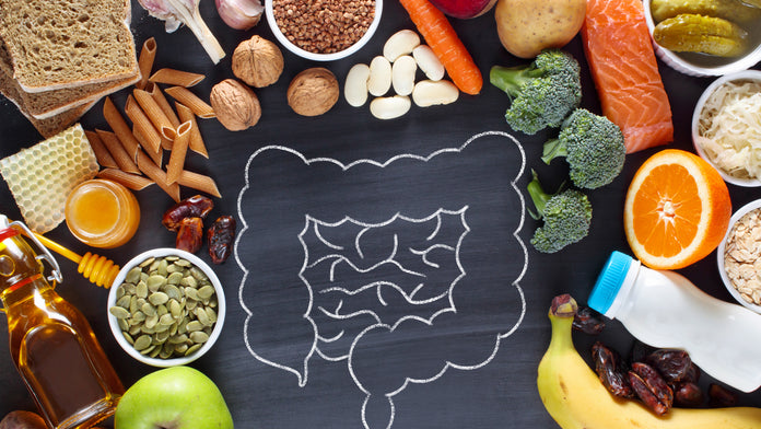 Fibre and Gut Health – The Lowdown (with science) banner image