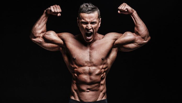 How to build muscle while staying lean banner image
