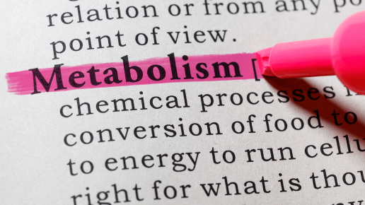 Metabolic adaptation to weight loss: Where is the science now?